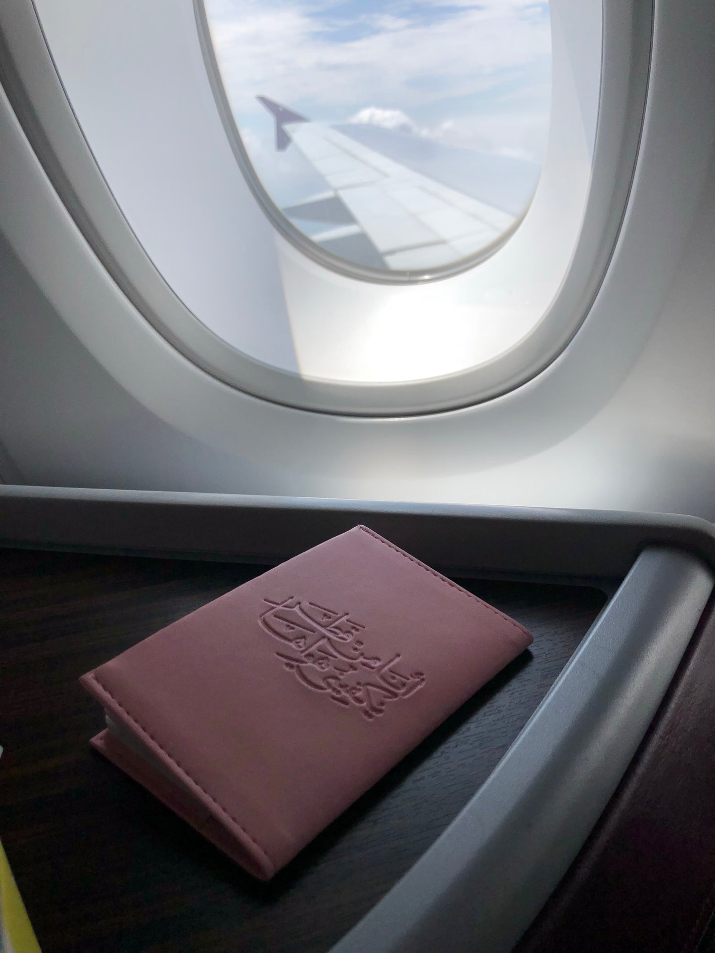 Passport Cover